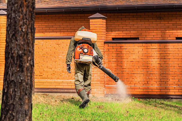 Trusted Cockroach Control service in North Syracuse, NY - Nex Pest Control
